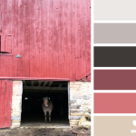 Farm Hues Playing with Palettes PwP 