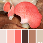 Mushroom Hues Playing with Palettes PwP 