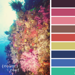 Color Reef Colour Reef Playing with Palettes PwP